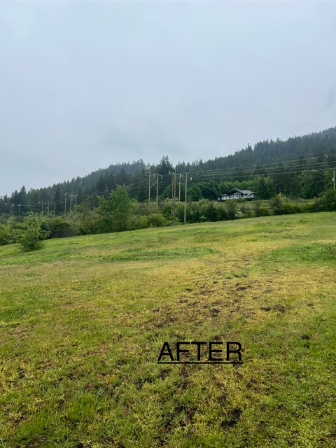 mountaingoat after 2