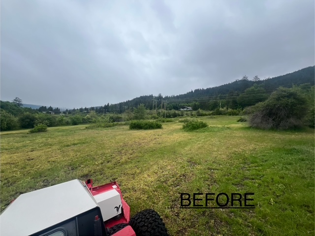 mountaingoat before 2